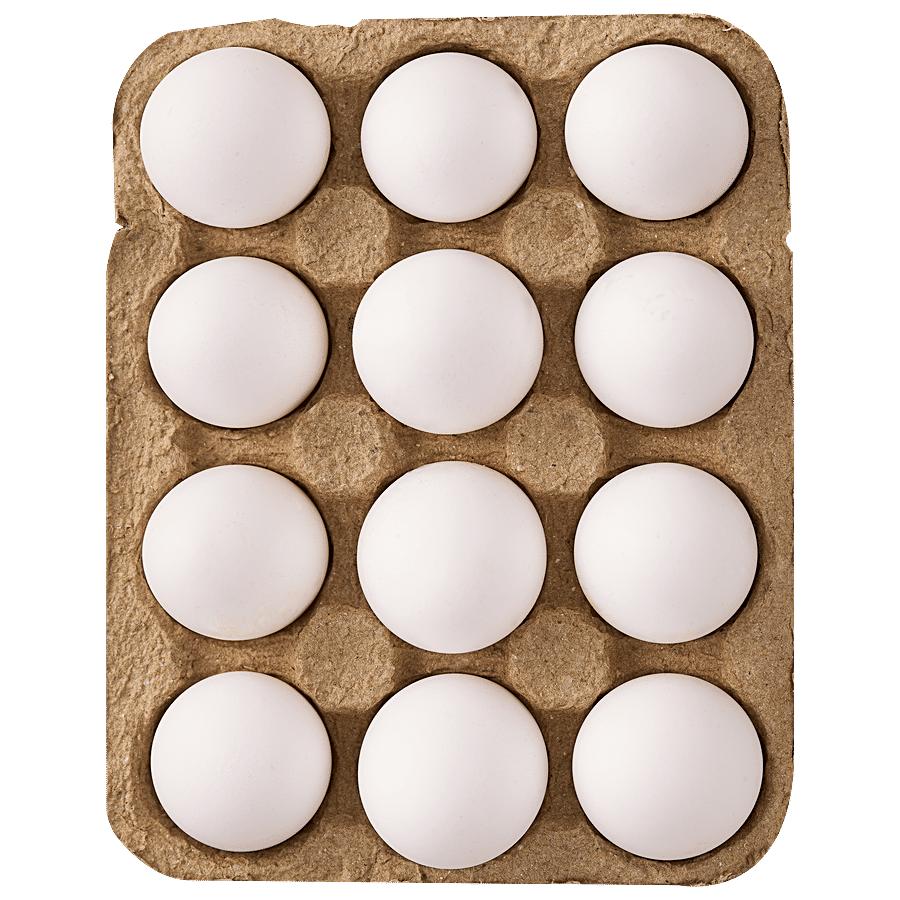 Farm Fresh Egg